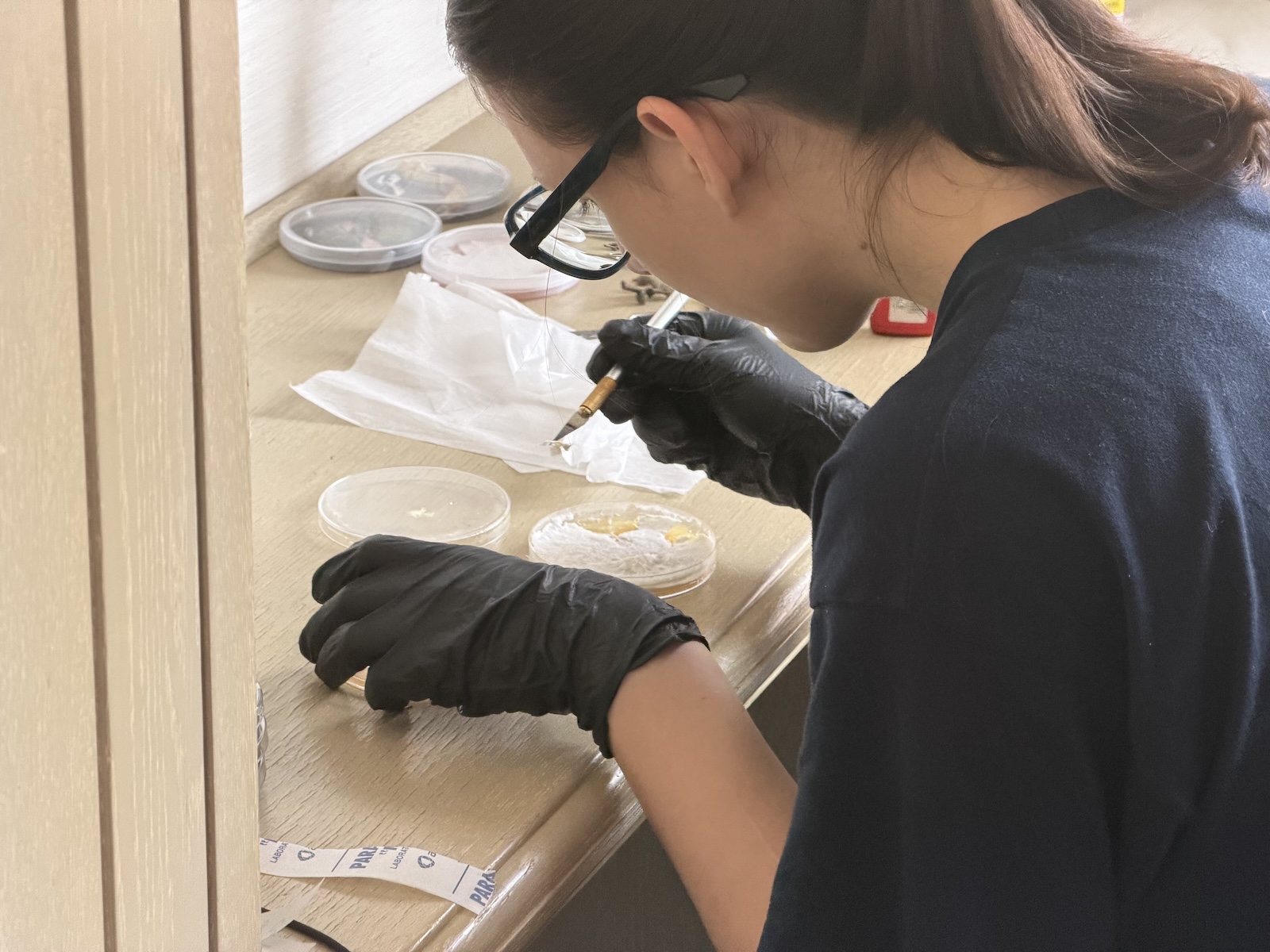 Bodó Éva working in the studio